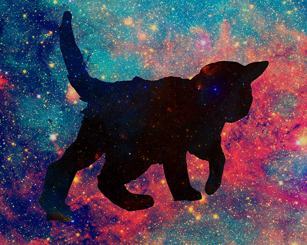 Det h�r �r en text som du kommer se n�r du h�ller muspekaren �ver bilden